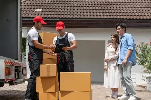 Top 3 Cheap Movers Movehub