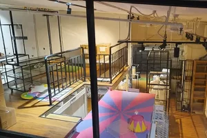 Events and Exhibition Moving Movehub