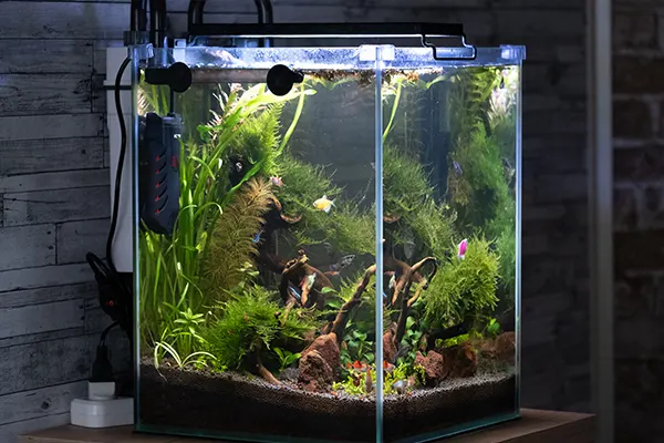 Fish Tank Moving Movehub