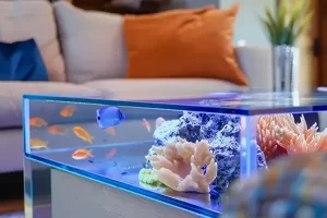 Fish Tank Moving Movehub