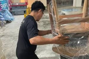 Furniture Storage Movehub