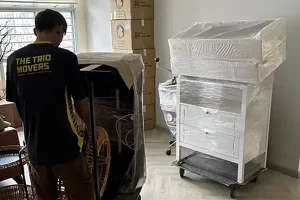 Furniture Moving Movehub