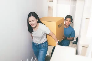 Movers West Movehub