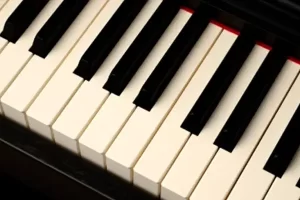 Piano Moving Movehub