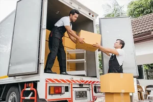 Top House Movers Movehub